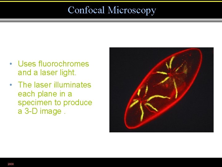 Confocal Microscopy • Uses fluorochromes and a laser light. • The laser illuminates each