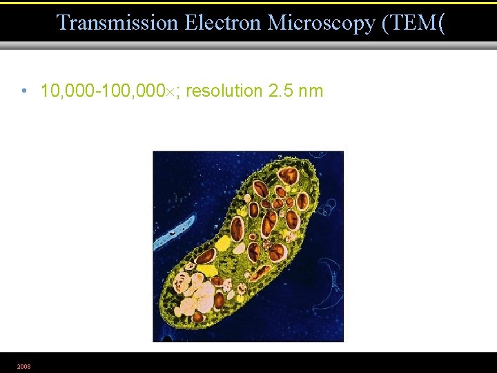 Transmission Electron Microscopy (TEM( • 10, 000 -100, 000 ; resolution 2. 5 nm