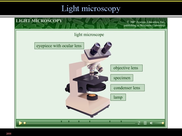 Light microscopy 2008 