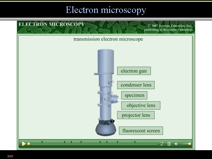 Electron microscopy 2008 