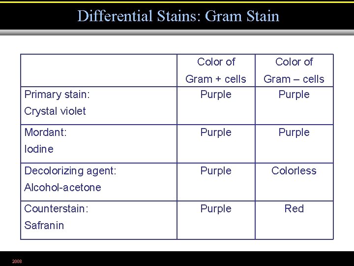 Differential Stains: Gram Stain Primary stain: Color of Gram + cells Purple Gram –