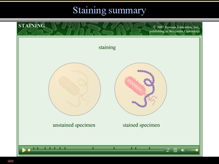Staining summary 2008 