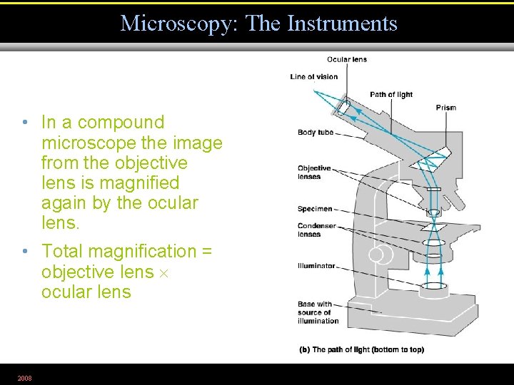 Microscopy: The Instruments • In a compound microscope the image from the objective lens