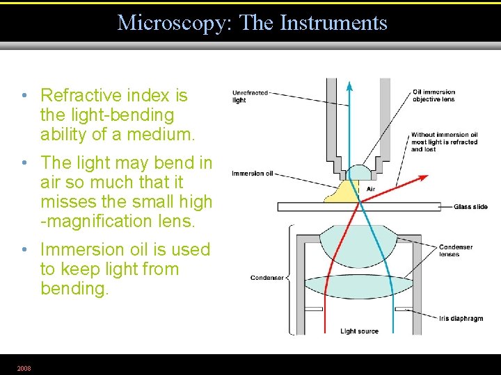Microscopy: The Instruments • Refractive index is the light-bending ability of a medium. •