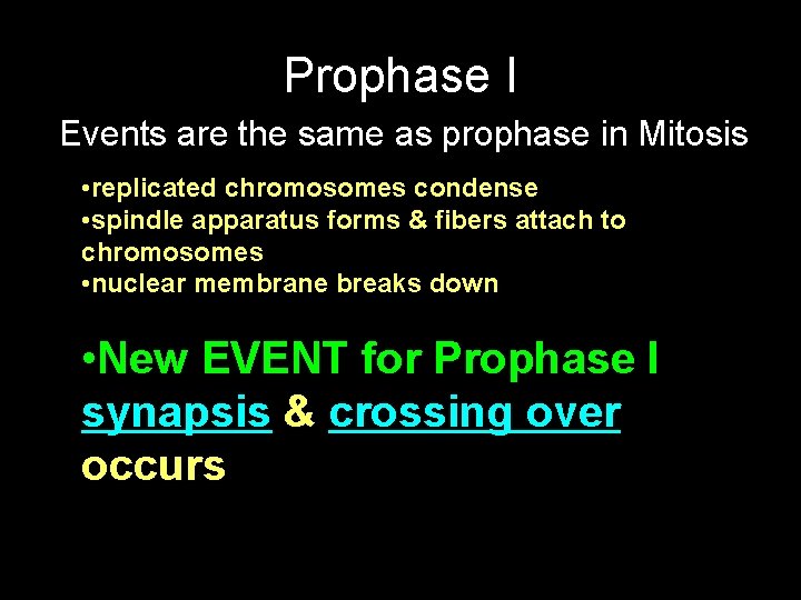 Prophase I Events are the same as prophase in Mitosis • replicated chromosomes condense