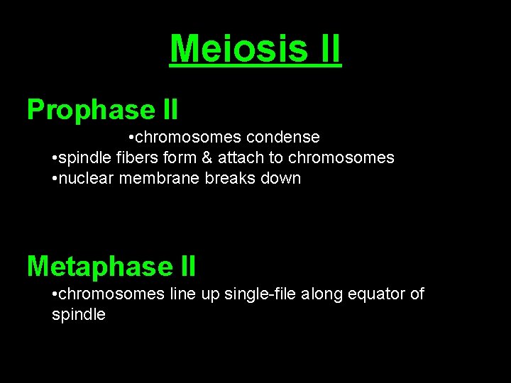 Meiosis II Prophase II • chromosomes condense • spindle fibers form & attach to