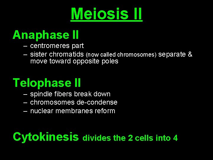 Meiosis II Anaphase II – centromeres part – sister chromatids (now called chromosomes) separate