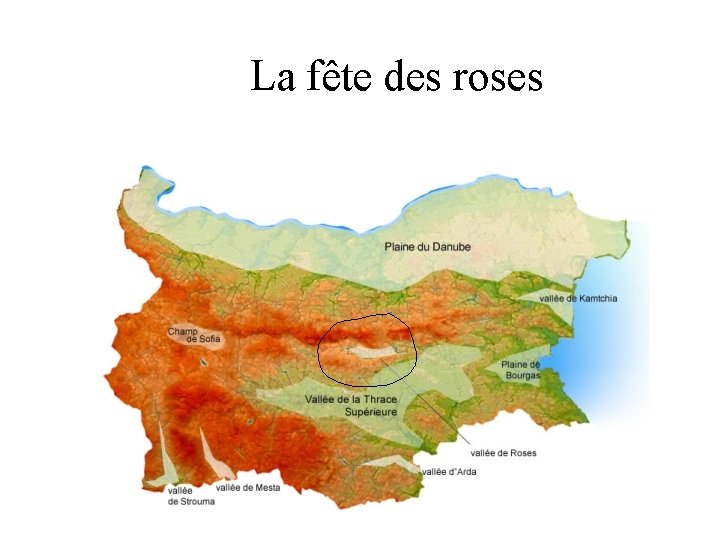 La fête des roses 