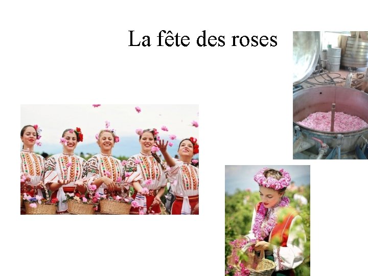 La fête des roses 