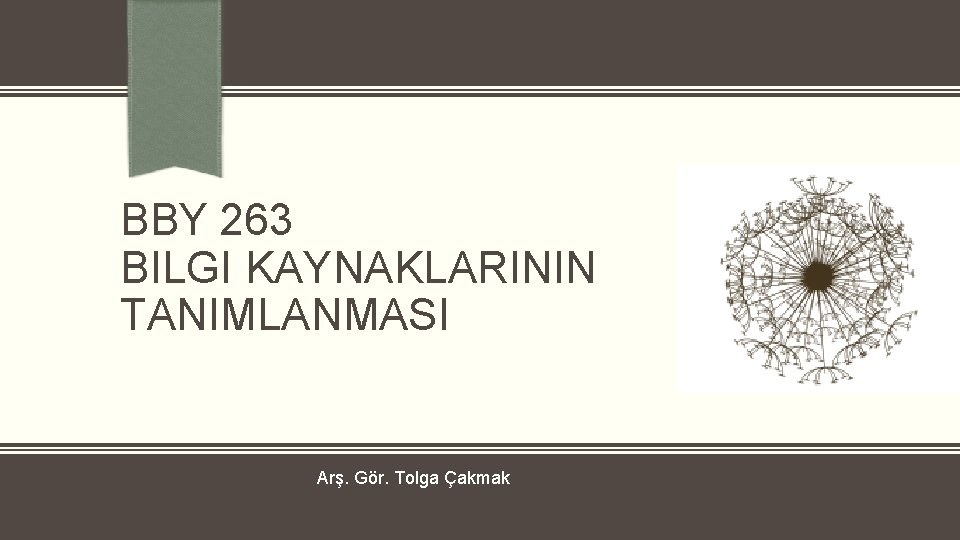 BBY 263 BILGI KAYNAKLARININ TANIMLANMASI Arş. Gör. Tolga Çakmak 