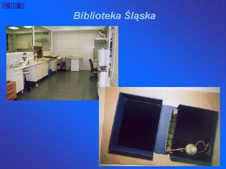 Kliknij aby kontynuować Biblioteka Śląska 