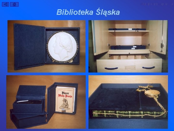 Kliknij aby kontynuować Biblioteka Śląska 