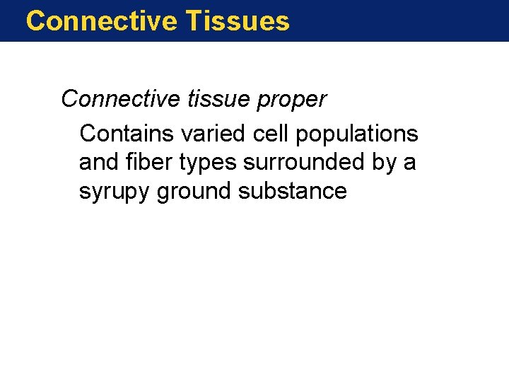 Connective Tissues Connective tissue proper Contains varied cell populations and fiber types surrounded by