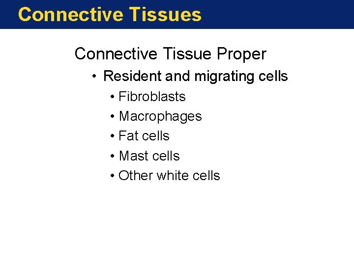 Connective Tissues Connective Tissue Proper • Resident and migrating cells • Fibroblasts • Macrophages