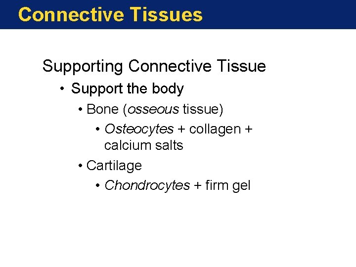 Connective Tissues Supporting Connective Tissue • Support the body • Bone (osseous tissue) •