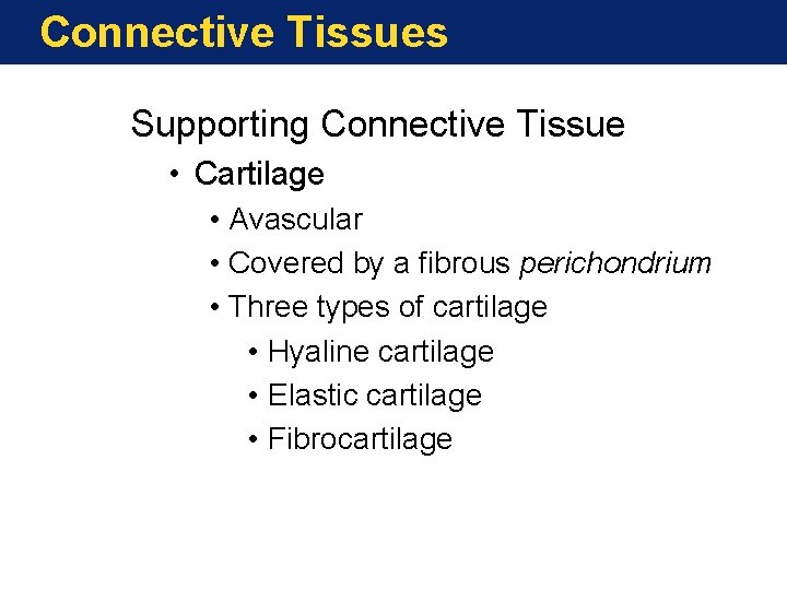 Connective Tissues Supporting Connective Tissue • Cartilage • Avascular • Covered by a fibrous