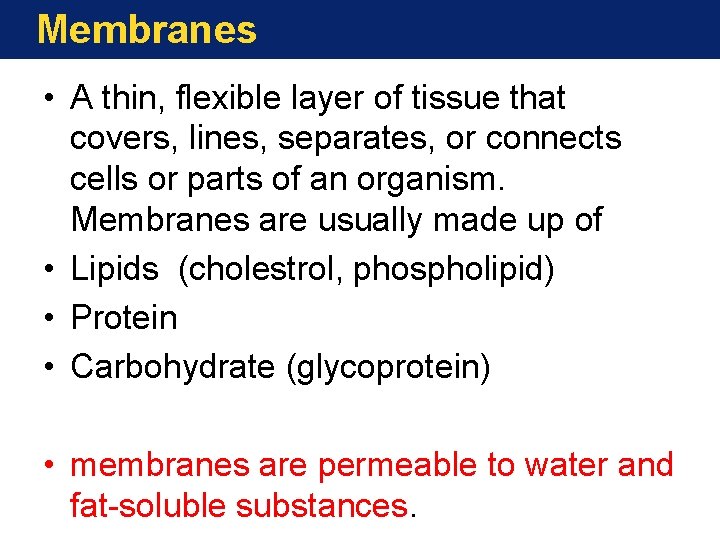 Membranes • A thin, flexible layer of tissue that covers, lines, separates, or connects