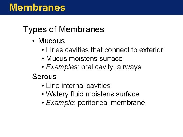 Membranes Types of Membranes • Mucous • Lines cavities that connect to exterior •
