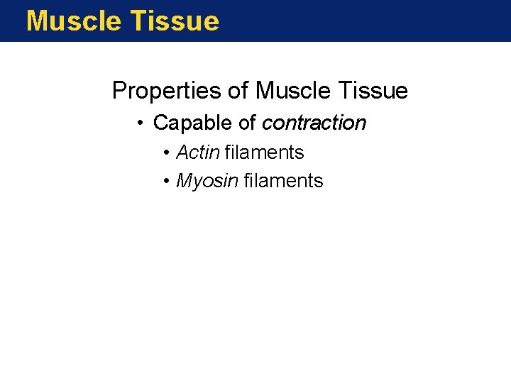 Muscle Tissue Properties of Muscle Tissue • Capable of contraction • Actin filaments •