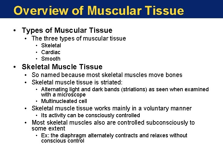 Overview of Muscular Tissue • Types of Muscular Tissue • The three types of