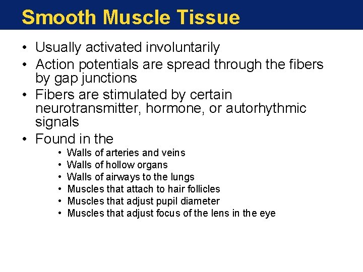 Smooth Muscle Tissue • Usually activated involuntarily • Action potentials are spread through the