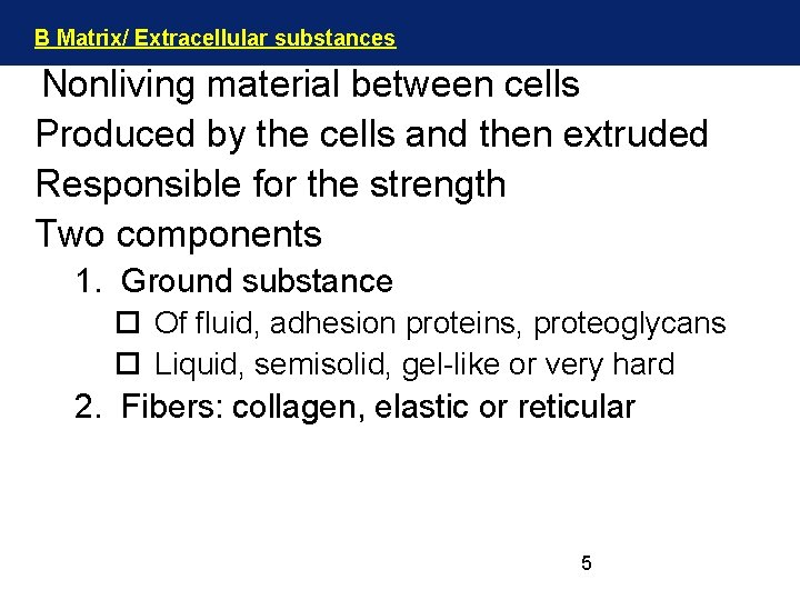 B Matrix/ Extracellular substances Nonliving material between cells Produced by the cells and then