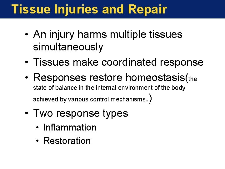 Tissue Injuries and Repair • An injury harms multiple tissues simultaneously • Tissues make