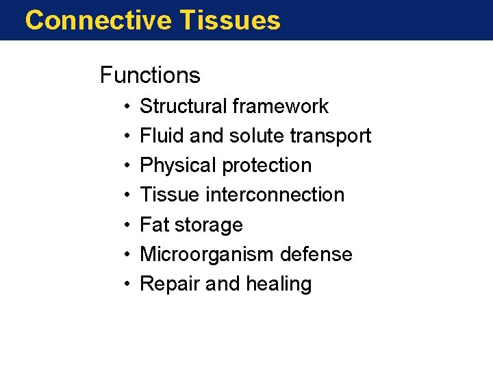 Connective Tissues Functions • • Structural framework Fluid and solute transport Physical protection Tissue