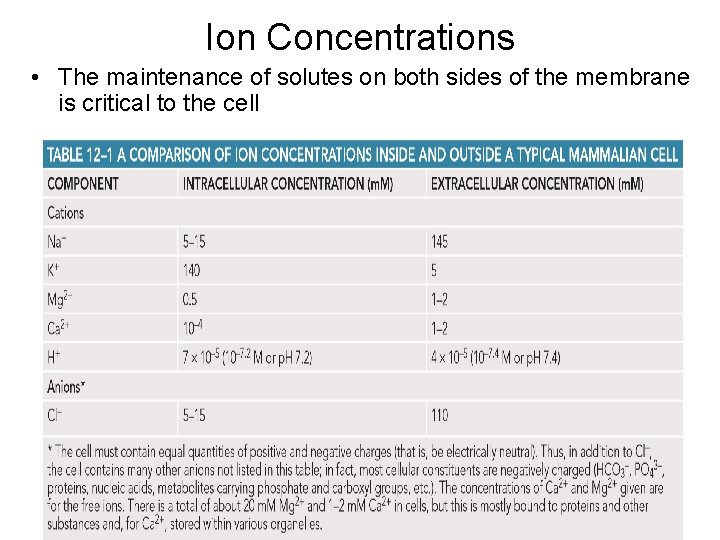 Ion Concentrations • The maintenance of solutes on both sides of the membrane is