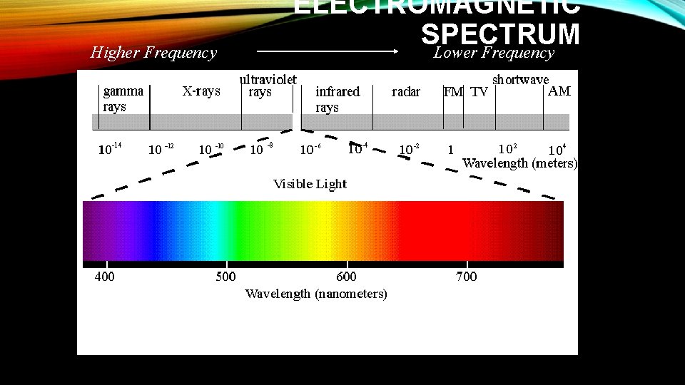 Higher Frequency ELECTROMAGNETIC SPECTRUM Lower Frequency 