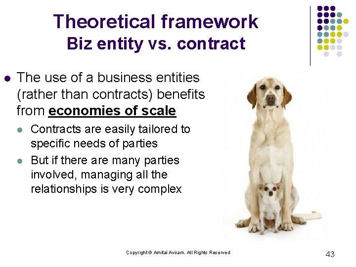 Theoretical framework Biz entity vs. contract l The use of a business entities (rather