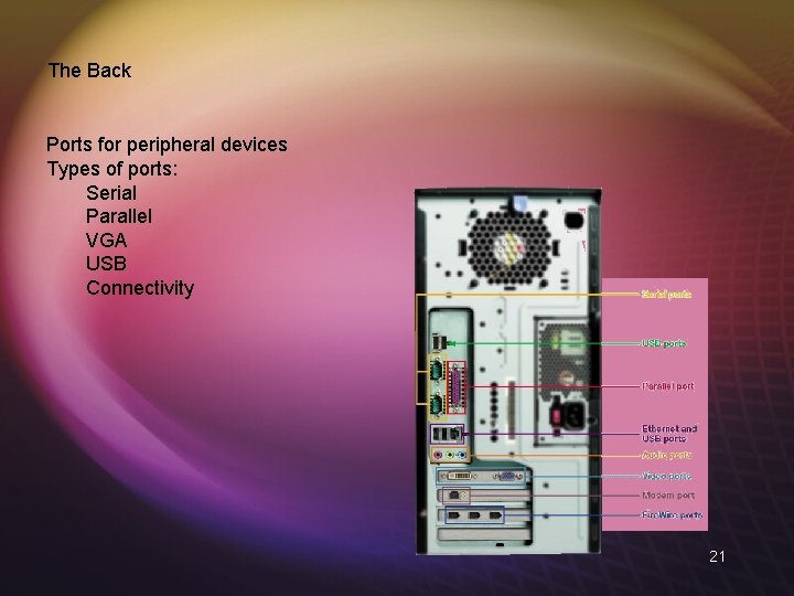 The Back Ports for peripheral devices Types of ports: Serial Parallel VGA USB Connectivity