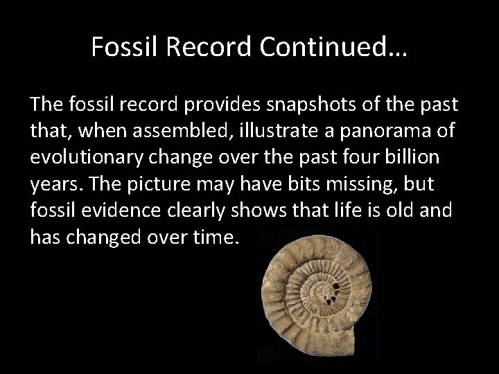 Fossil Record Continued… The fossil record provides snapshots of the past that, when assembled,