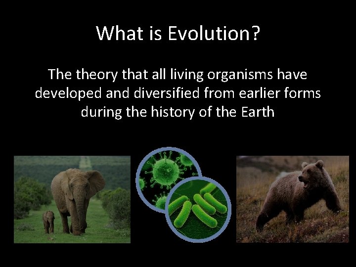 What is Evolution? The theory that all living organisms have developed and diversified from