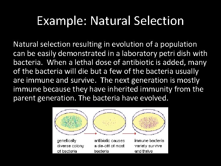 Example: Natural Selection Natural selection resulting in evolution of a population can be easily