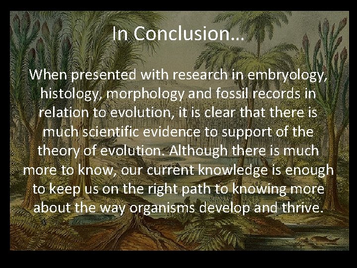 In Conclusion… When presented with research in embryology, histology, morphology and fossil records in