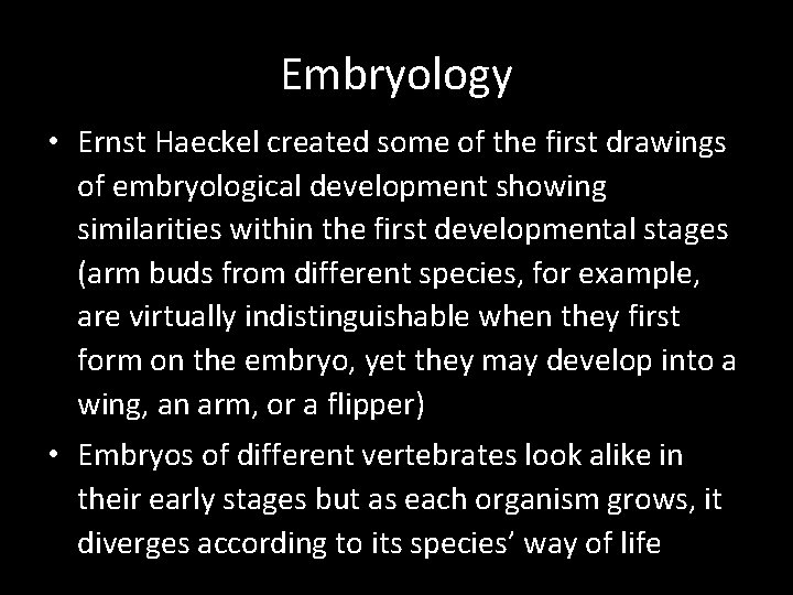 Embryology • Ernst Haeckel created some of the first drawings of embryological development showing