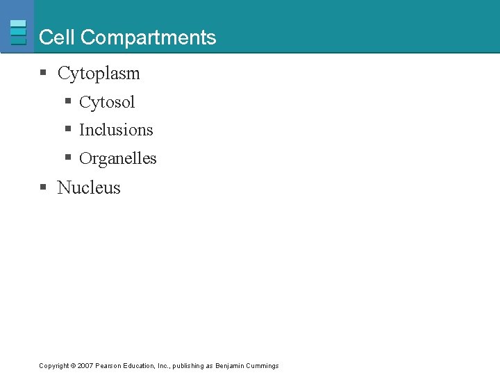 Cell Compartments § Cytoplasm § Cytosol § Inclusions § Organelles § Nucleus Copyright ©