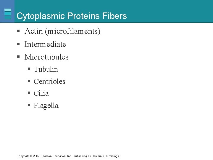 Cytoplasmic Proteins Fibers § Actin (microfilaments) § Intermediate § Microtubules § Tubulin § Centrioles