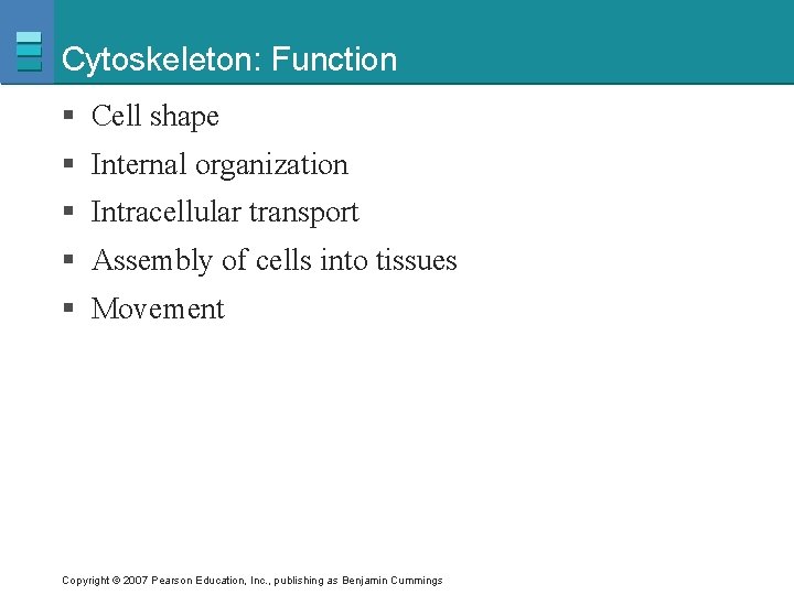 Cytoskeleton: Function § Cell shape § Internal organization § Intracellular transport § Assembly of