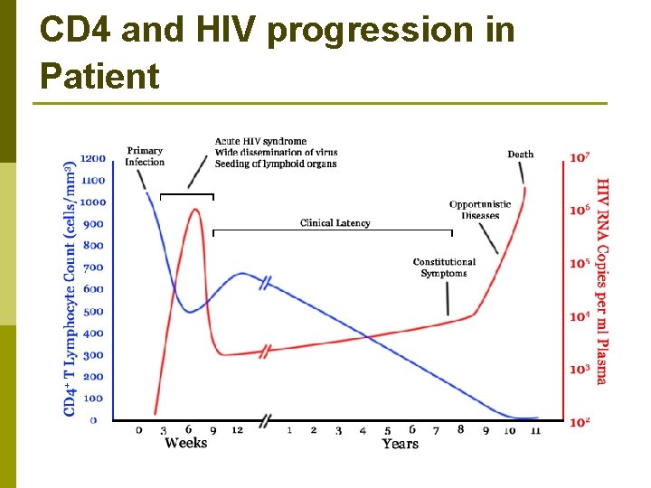 CD 4 and HIV progression in Patient 