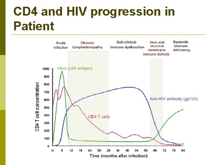CD 4 and HIV progression in Patient 