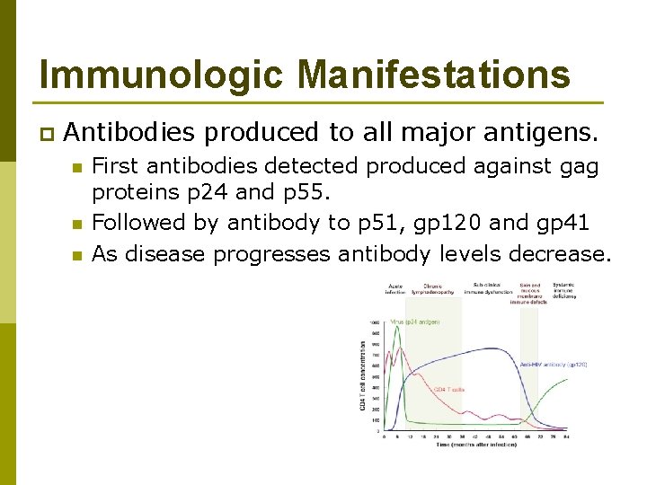 Immunologic Manifestations p Antibodies produced to all major antigens. n n n First antibodies