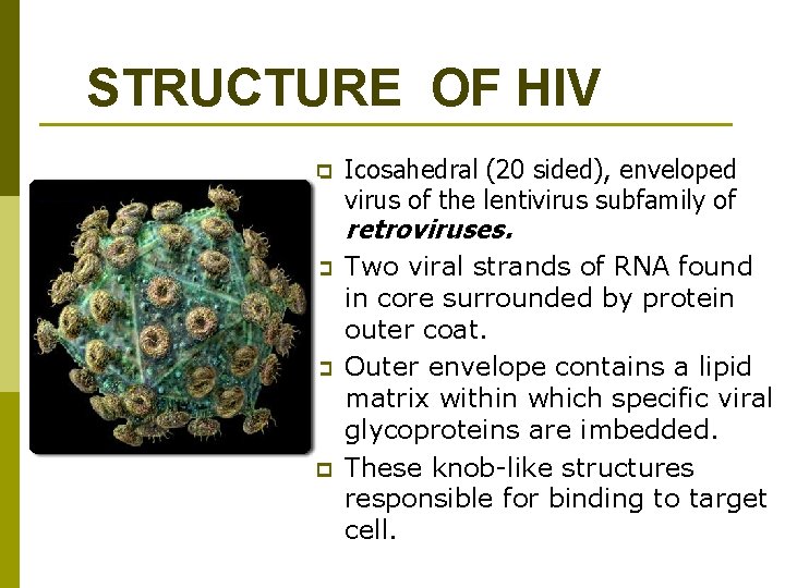 STRUCTURE OF HIV p Icosahedral (20 sided), enveloped virus of the lentivirus subfamily of