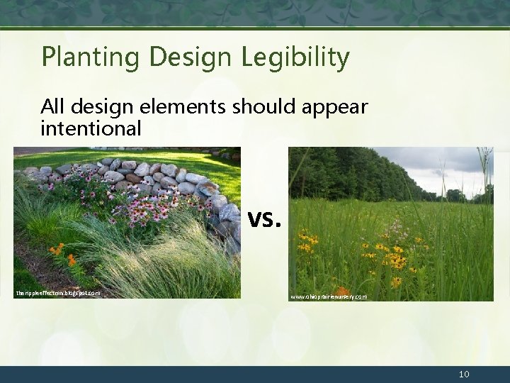 Planting Design Legibility All design elements should appear intentional vs. therippleeffectmn. blogspot. com www.