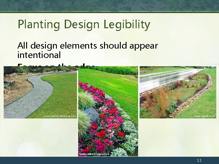 Planting Design Legibility All design elements should appear intentional Focus on the edge www.