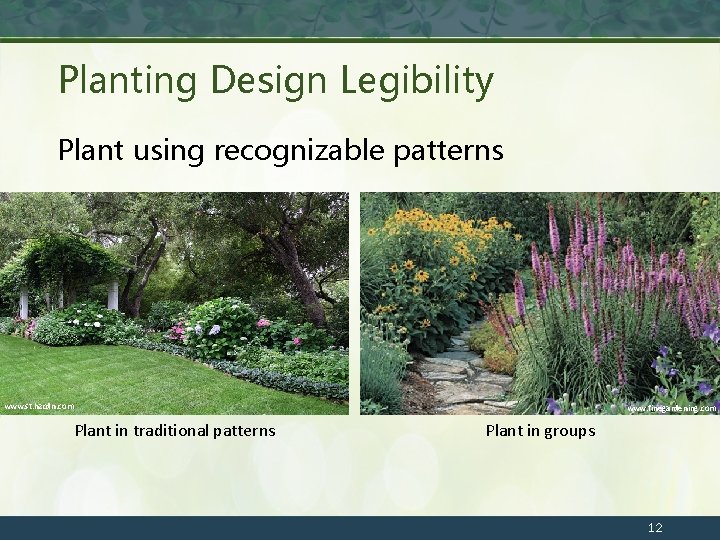 Planting Design Legibility Plant using recognizable patterns www. st. hzcdn. com www. finegardening. com