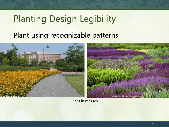 Planting Design Legibility Plant using recognizable patterns www. nilsenlandscape. com Plant in masses 13