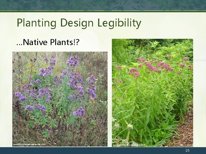 Planting Design Legibility …Native Plants!? www. commonsensehome. com www. northcreeknurseries. com 15 