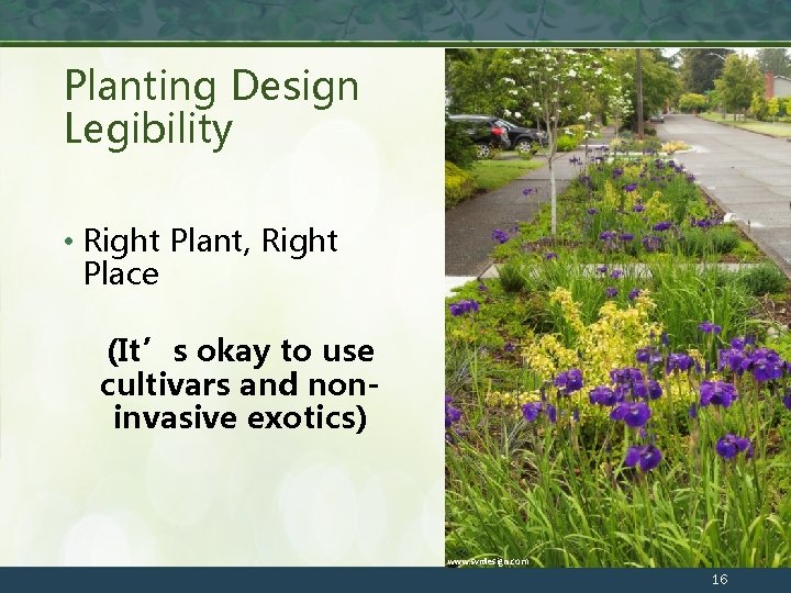 Planting Design Legibility • Right Plant, Right Place (It’s okay to use cultivars and